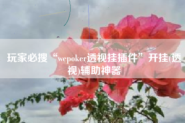 玩家必搜“wepoker透视挂插件”开挂(透视)辅助神器