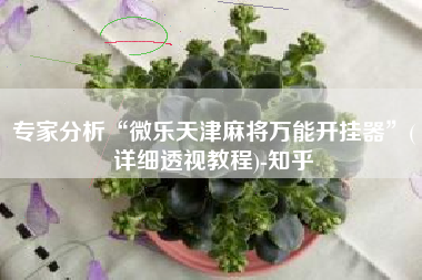 专家分析“微乐天津麻将万能开挂器	”(详细透视教程)-知乎