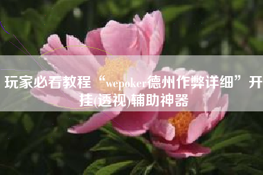 玩家必看教程“wepoker德州作弊详细”开挂(透视)辅助神器