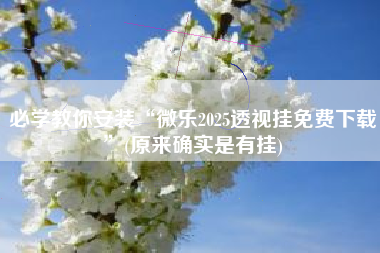 必学教你安装“微乐2025透视挂免费下载	”(原来确实是有挂)