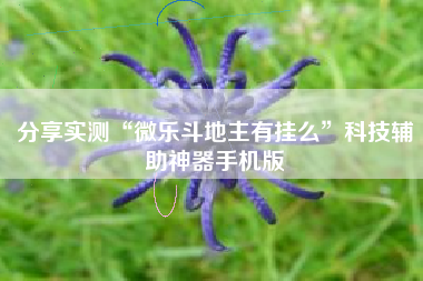 分享实测“微乐斗地主有挂么”科技辅助神器手机版