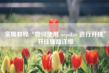 实操教程“如何使用 wepoker 进行开挂	”开挂辅助详细