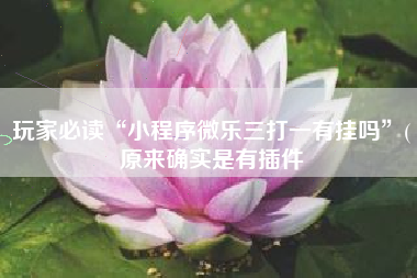 玩家必读“小程序微乐三打一有挂吗”(原来确实是有插件