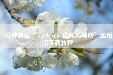 3分钟教程“wepokerplus德州局辅助”通用版下载教程