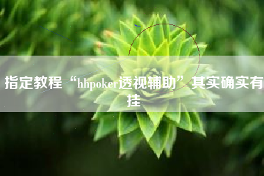 指定教程“hhpoker透视辅助	”其实确实有挂
