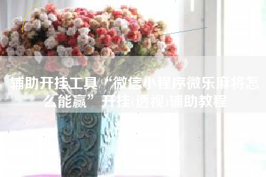 辅助开挂工具“微信小程序微乐麻将怎么能赢”开挂(透视)辅助教程