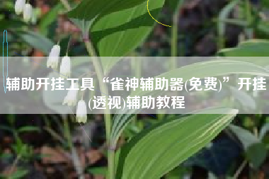 辅助开挂工具“雀神辅助器(免费)”开挂(透视)辅助教程