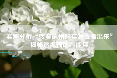 实测分析“菠萝德州的挂怎么看出来”揭秘透视辅助万能挂