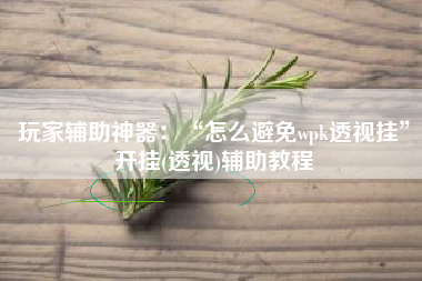 玩家辅助神器：“怎么避免wpk透视挂”开挂(透视)辅助教程