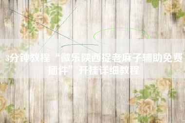 3分钟教程“微乐陕西捉老麻子辅助免费插件”开挂详细教程