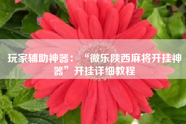 玩家辅助神器:“微乐陕西麻将开挂神器”开挂详细教程 玩家辅助神器:“微乐陕西麻将开挂神器”开挂详细教程