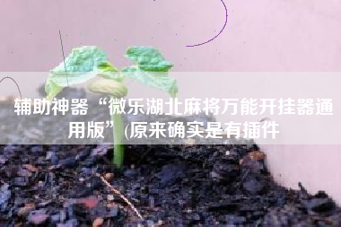 辅助神器“微乐湖北麻将万能开挂器通用版”(原来确实是有插件