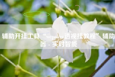 辅助开挂工具“wepoker透视挂教程”辅助器 - 实时智能