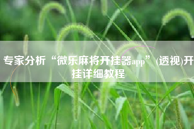 专家分析“微乐麻将开挂器app	”(透视)开挂详细教程
