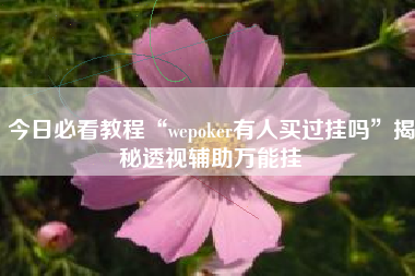 今日必看教程“wepoker有人买过挂吗”揭秘透视辅助万能挂