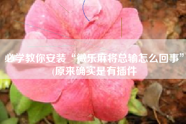 必学教你安装“微乐麻将总输怎么回事”(原来确实是有插件