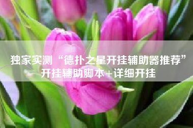 独家实测“德扑之星开挂辅助器推荐”开挂辅助脚本+详细开挂