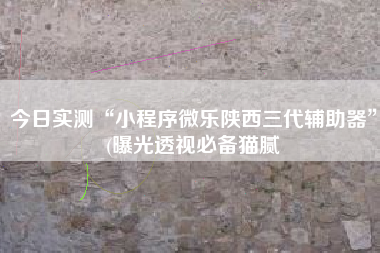 今日实测“小程序微乐陕西三代辅助器”(曝光透视必备猫腻