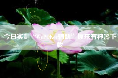 今日实测“WePOKer辅助	”原来有神器下载