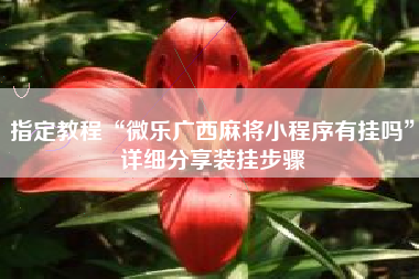 指定教程“微乐广西麻将小程序有挂吗”详细分享装挂步骤