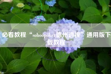 必看教程“sohoopoker德州透视”通用版下载教程