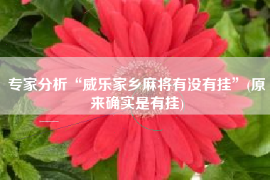 专家分析“威乐家乡麻将有没有挂”(原来确实是有挂)