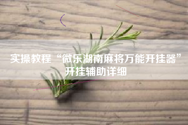实操教程“微乐湖南麻将万能开挂器”开挂辅助详细