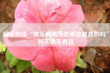 玩家必读“微乐麻将外卦神器是真的吗	”其实确实有挂