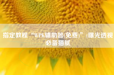 指定教程“WPK辅助器(免费)”(曝光透视必备猫腻