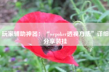 玩家辅助神器：“wepoker透视方法”详细分享装挂