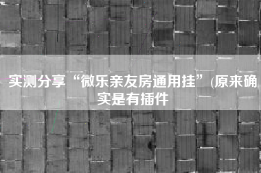 实测分享“微乐亲友房通用挂”(原来确实是有插件