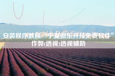 安装程序教程“宁夏微乐开挂免费软件”作弊(透视)透视辅助