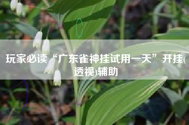 玩家必读“广东雀神挂试用一天	”开挂(透视)辅助