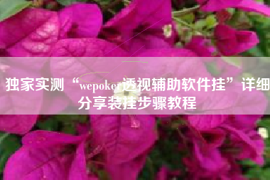 独家实测“wepoker透视辅助软件挂”详细分享装挂步骤教程