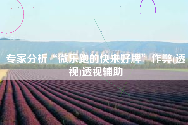 专家分析“微乐跑的快来好牌	”作弊(透视)透视辅助