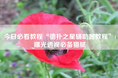 今日必看教程“德扑之星辅助器教程	”(曝光透视必备猫腻