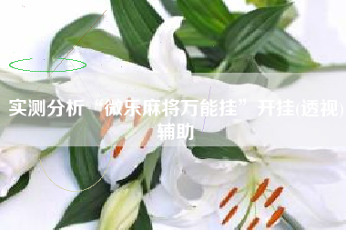 实测分析“微乐麻将万能挂”开挂(透视)辅助