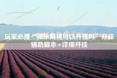 玩家必搜“微乐麻将可以开挂吗	”开挂辅助脚本+详细开挂