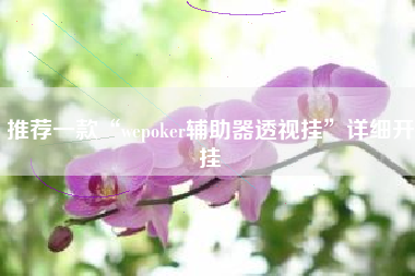 推荐一款“wepoker辅助器透视挂”详细开挂