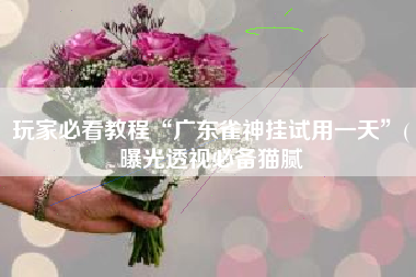 玩家必看教程“广东雀神挂试用一天”(曝光透视必备猫腻