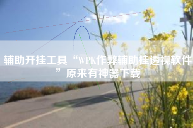 辅助开挂工具“WPK作弊辅助挂透视软件”原来有神器下载
