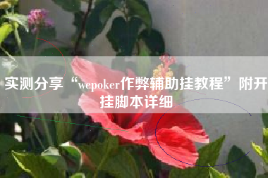实测分享“wepoker作弊辅助挂教程	”附开挂脚本详细
