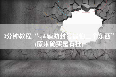 3分钟教程“wpk辅助封号最怕三个东西	”(原来确实是有挂)