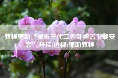 教程辅助“微乐三代二外卦神器下载安装”开挂(透视)辅助教程