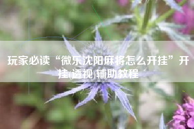 玩家必读“微乐沈阳麻将怎么开挂	”开挂(透视)辅助教程