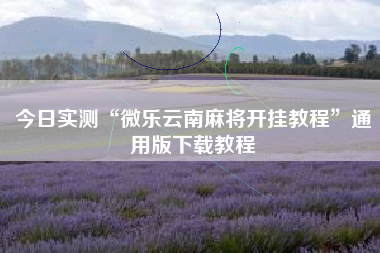 今日实测“微乐云南麻将开挂教程”通用版下载教程