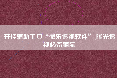 开挂辅助工具“微乐透视软件”(曝光透视必备猫腻