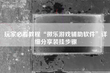 玩家必看教程“微乐游戏辅助软件	”详细分享装挂步骤