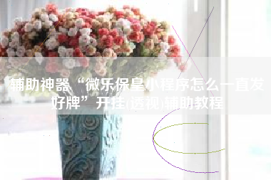 辅助神器“微乐保皇小程序怎么一直发好牌	”开挂(透视)辅助教程