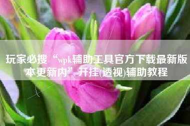 玩家必搜“wpk辅助工具官方下载最新版本更新内	”开挂(透视)辅助教程